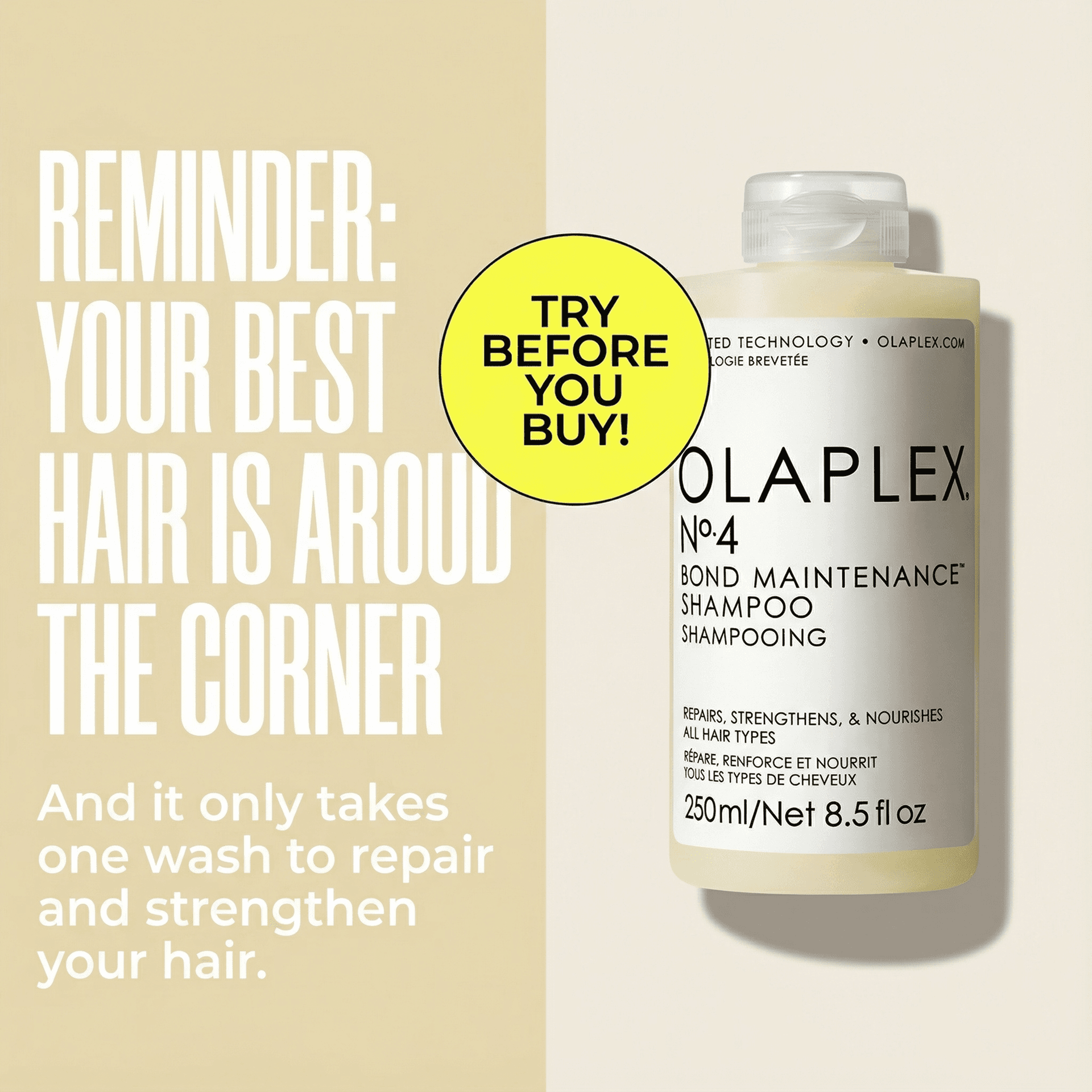 OLAPLEX Shampoo ad created with AdDog
